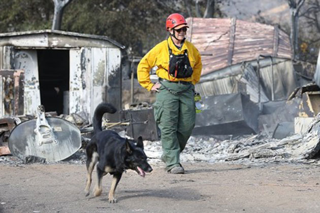 Santa Barbara County Search and Rescue Dogs Help with Erskine Fire ...