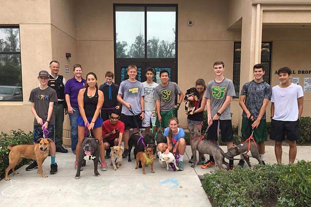 St. Joseph High School Runners “Ruffng” It With Dogs | Local News | Noozhawk