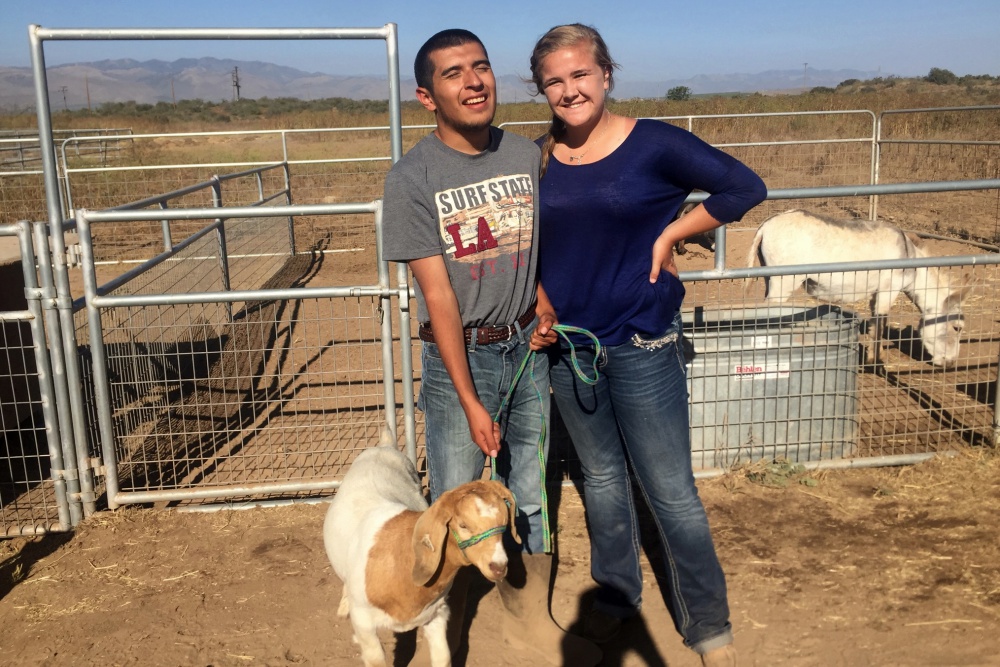 Warrior Goat Program Gives Special-Needs High School Students an Animal ...