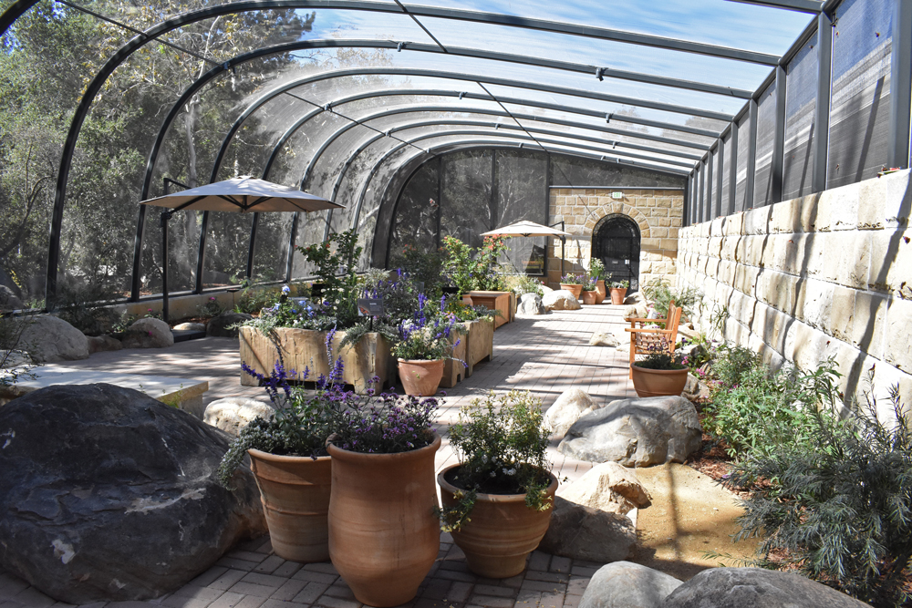 Santa Barbara Natural History Museum Opens New Butterfly Pavilion