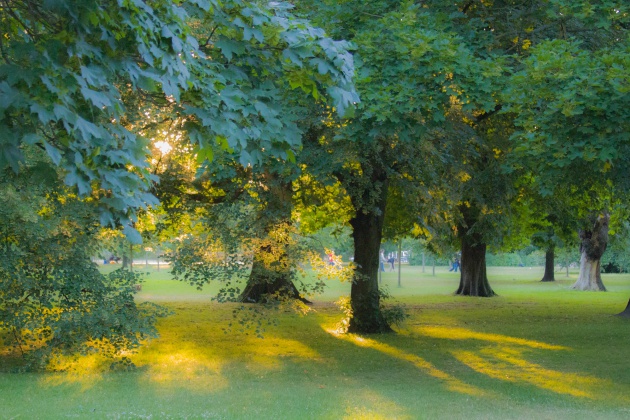 Exquisite Here's What You Can Expect With Today's Kensington Gardens Weather Wallpaper Digital Art Exquisite Here's What You Can Expect With Today's Kensington Gardens Weather Wallpaper Digital Art