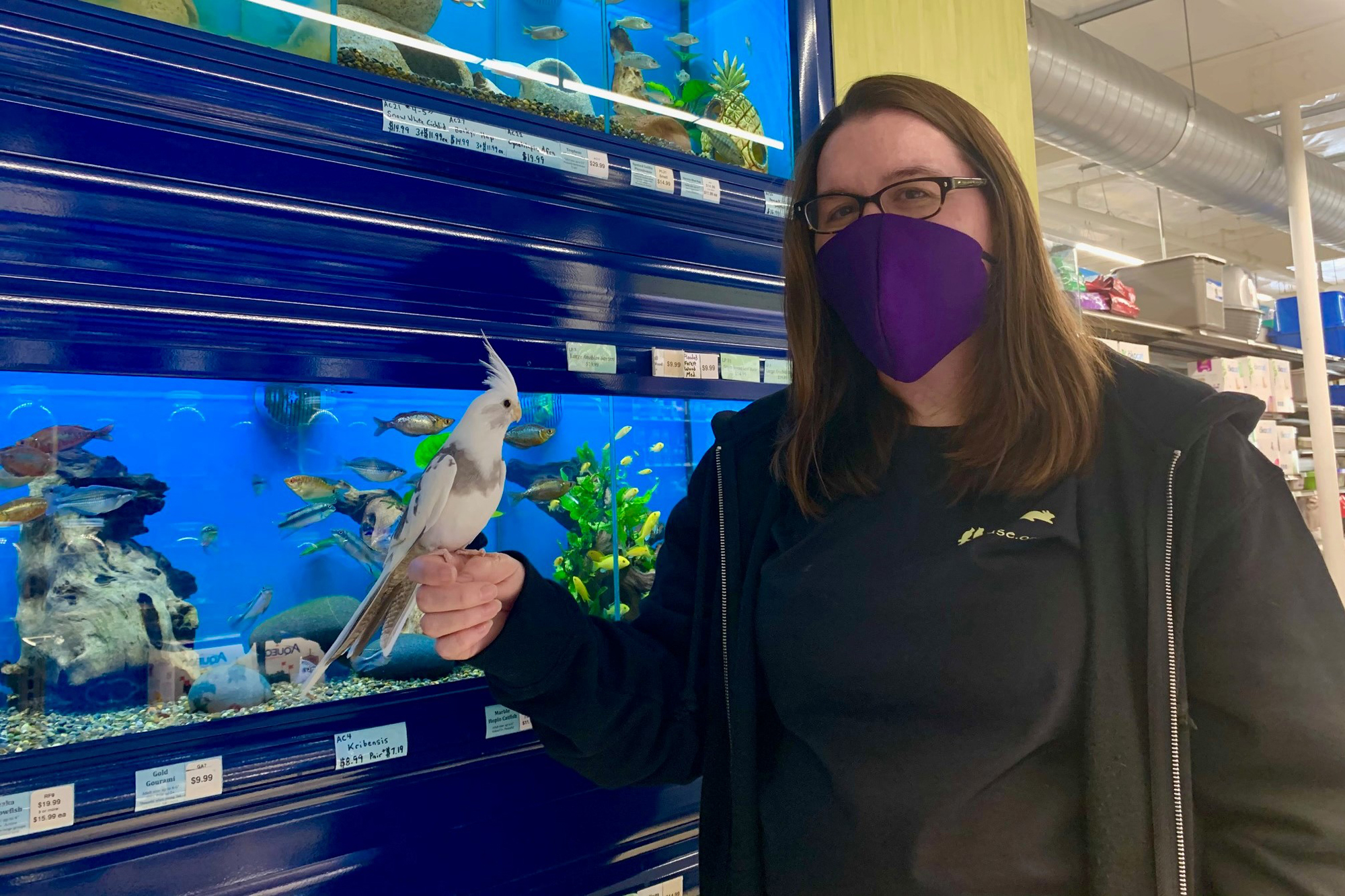 BizHawk Pet House in Goleta Enters 2021 with New Owner, New site