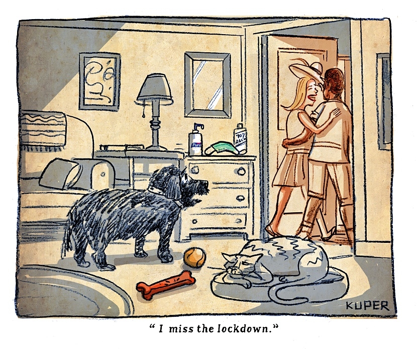 Can Dogs Smell Graves