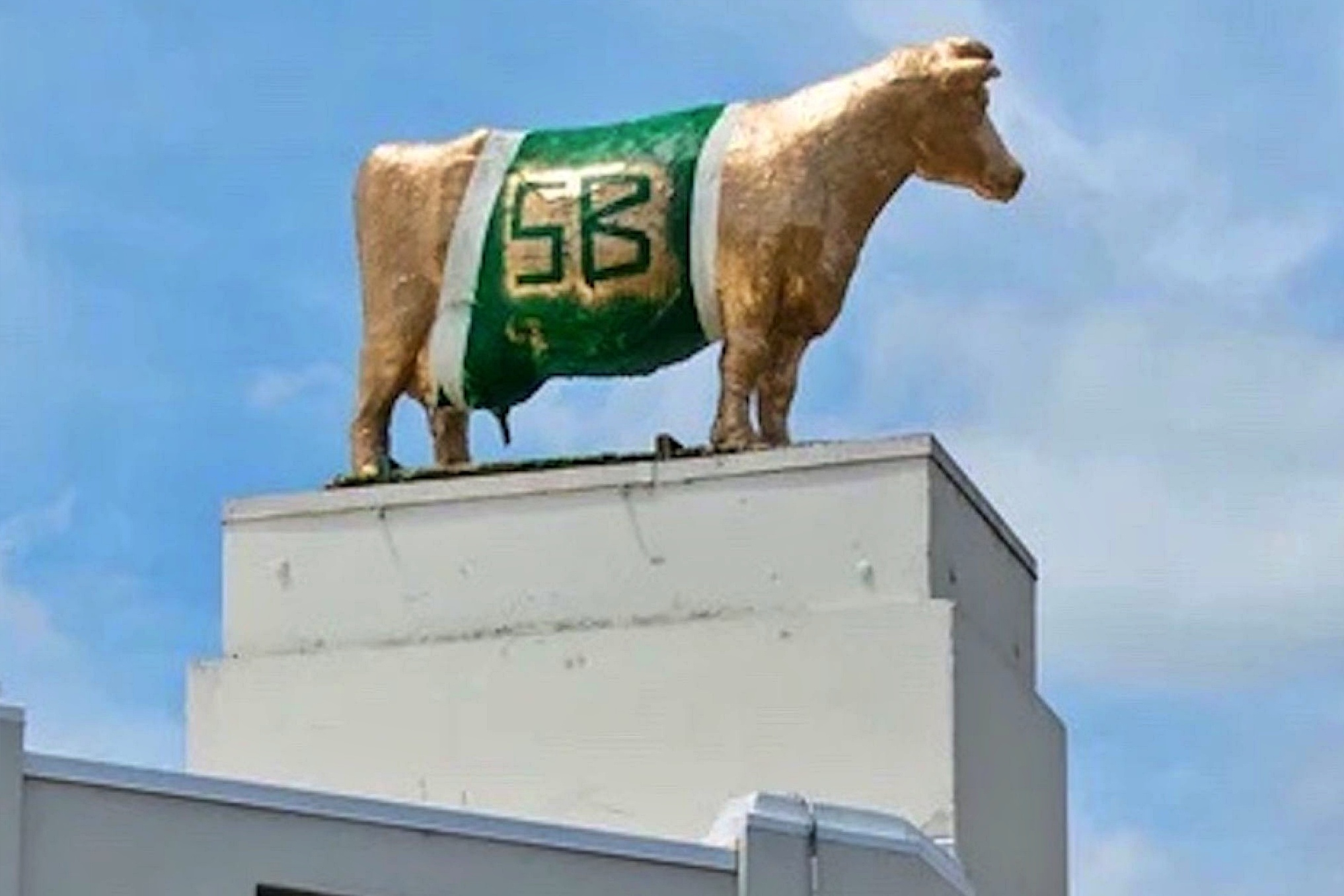 Mark Patton Converting from Vaqueros, to Dons, to Golden Tornado