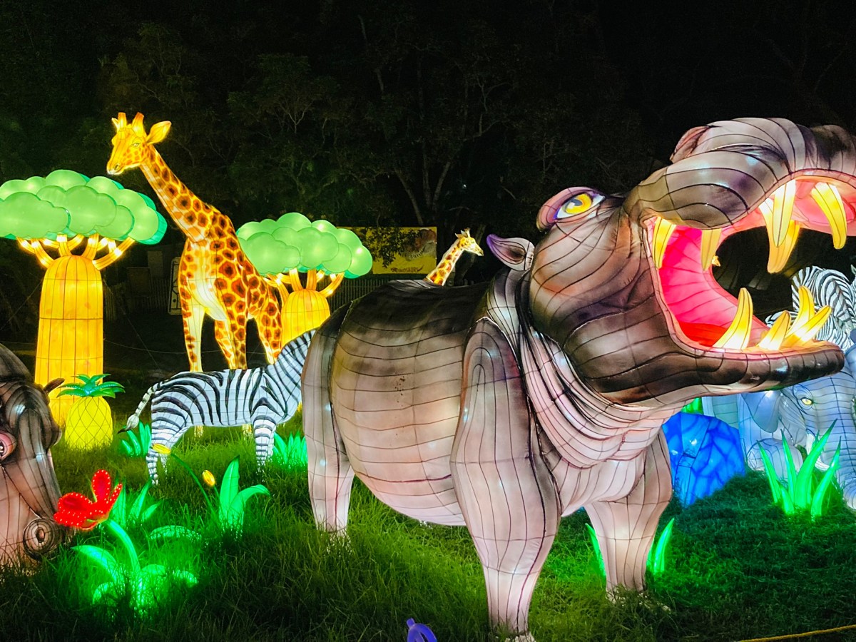 Santa Barbara Zoo Archives Noozhawk