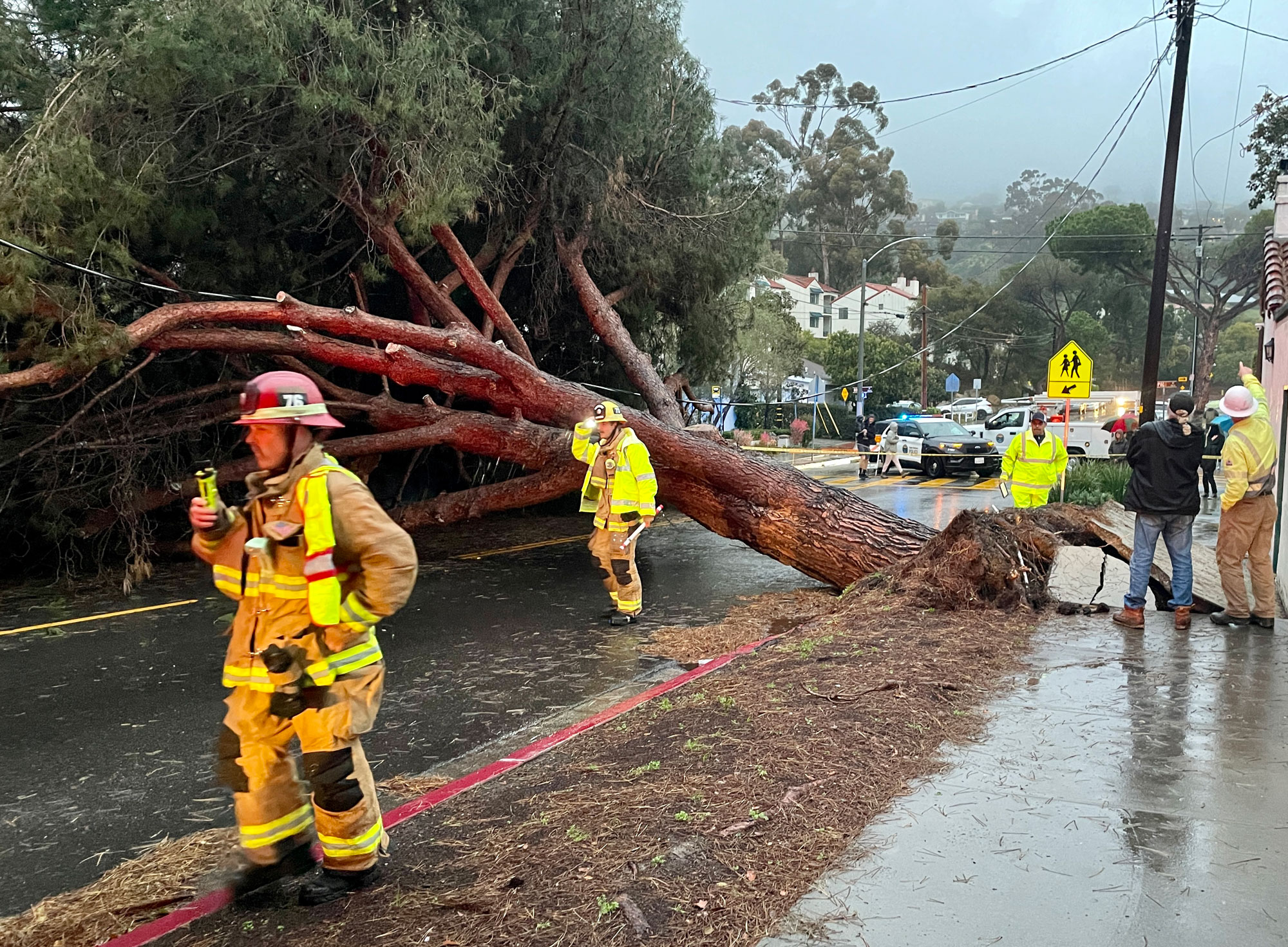 Powerful Storm Soaks County, Brings Fallen Trees, Closed Roads, Rare ...