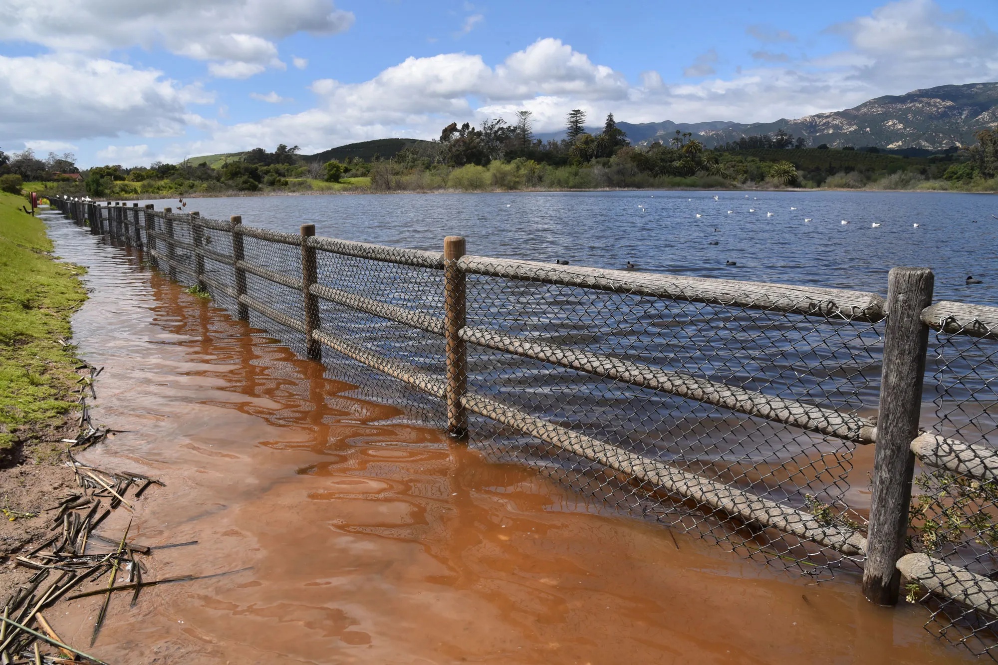 Bill Macfadyen Goleta’s Lake Los Carneros Is Full of Itself Again