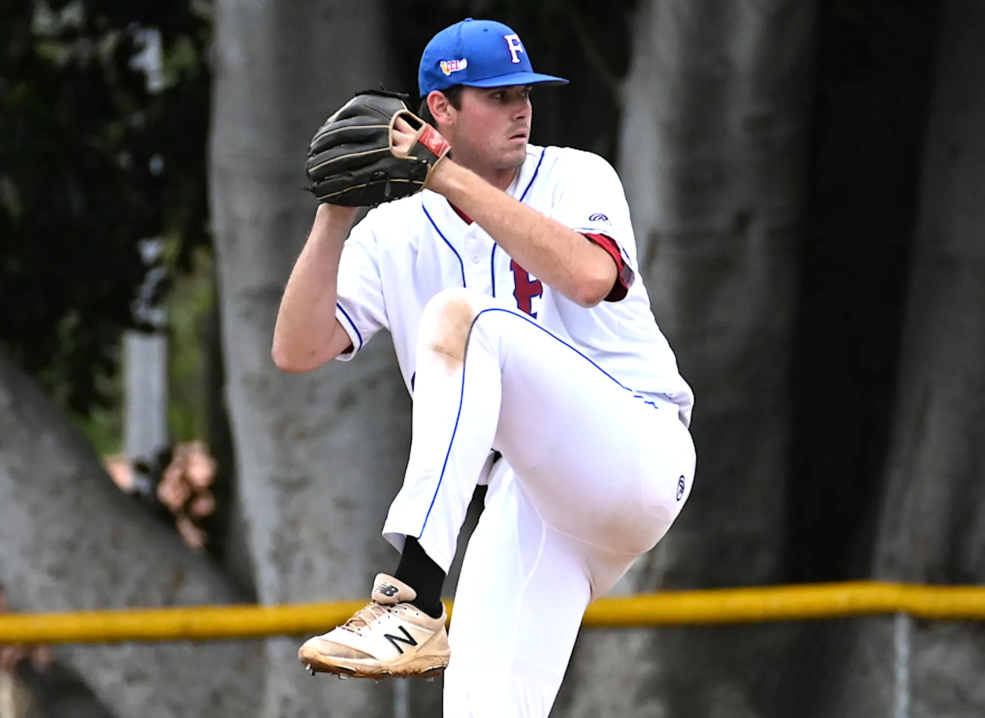 Sean Youngerman, Hunter Watkins Combine for No-Hitter in 4-0 Foresters Win | Sports - Vimarsana News