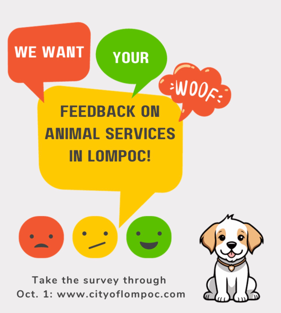Share Your Insights and Pet Peeves on Lompoc Animal Services Survey
