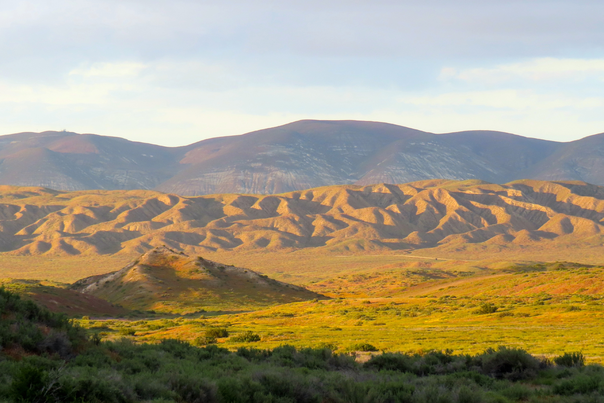 Dan McCaslin: Boondocking on the Carrizo Plain | Outdoors - Vimarsana News