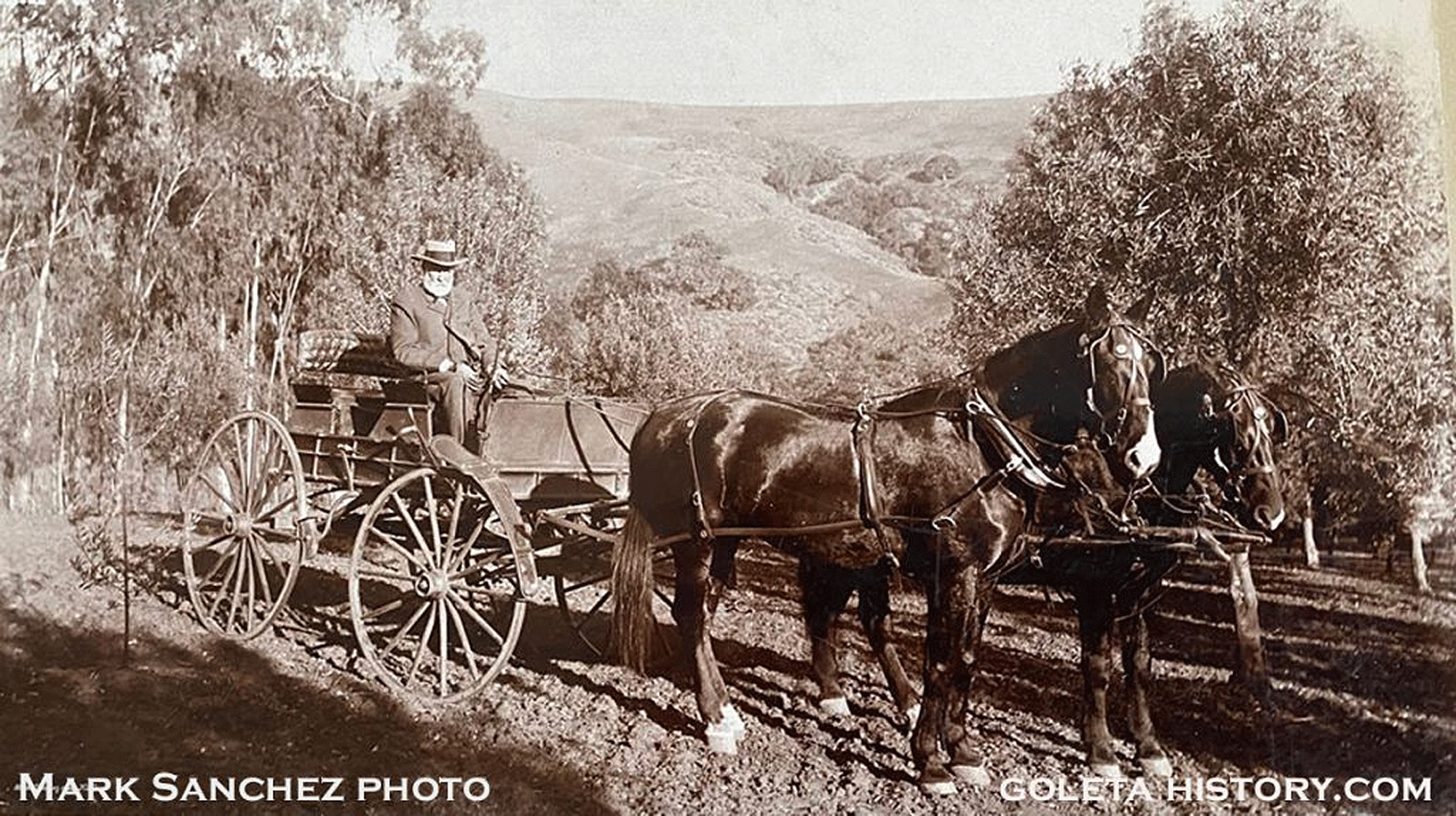 Tom Modugno: Who in the World is Ellwood?