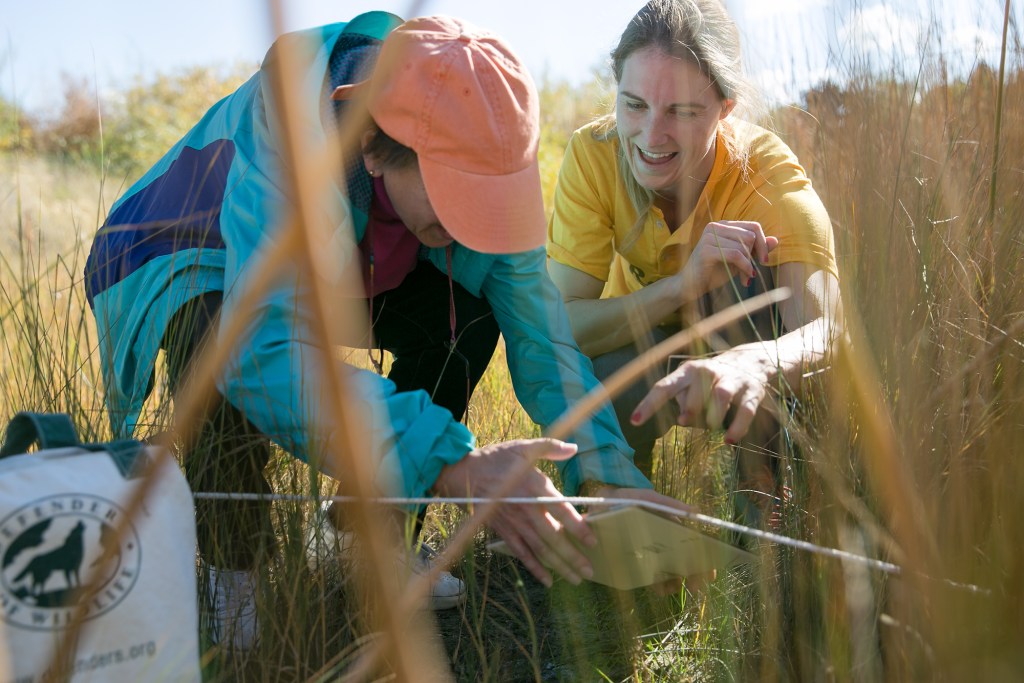 Santa Barbara Museum of Natural History Hires Mammalogy Curator