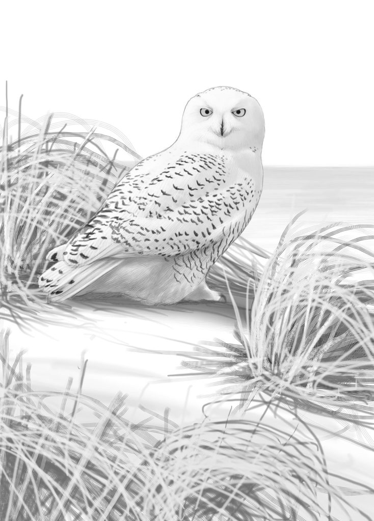 North American Birds Have Wherewithal to Weather the Winter