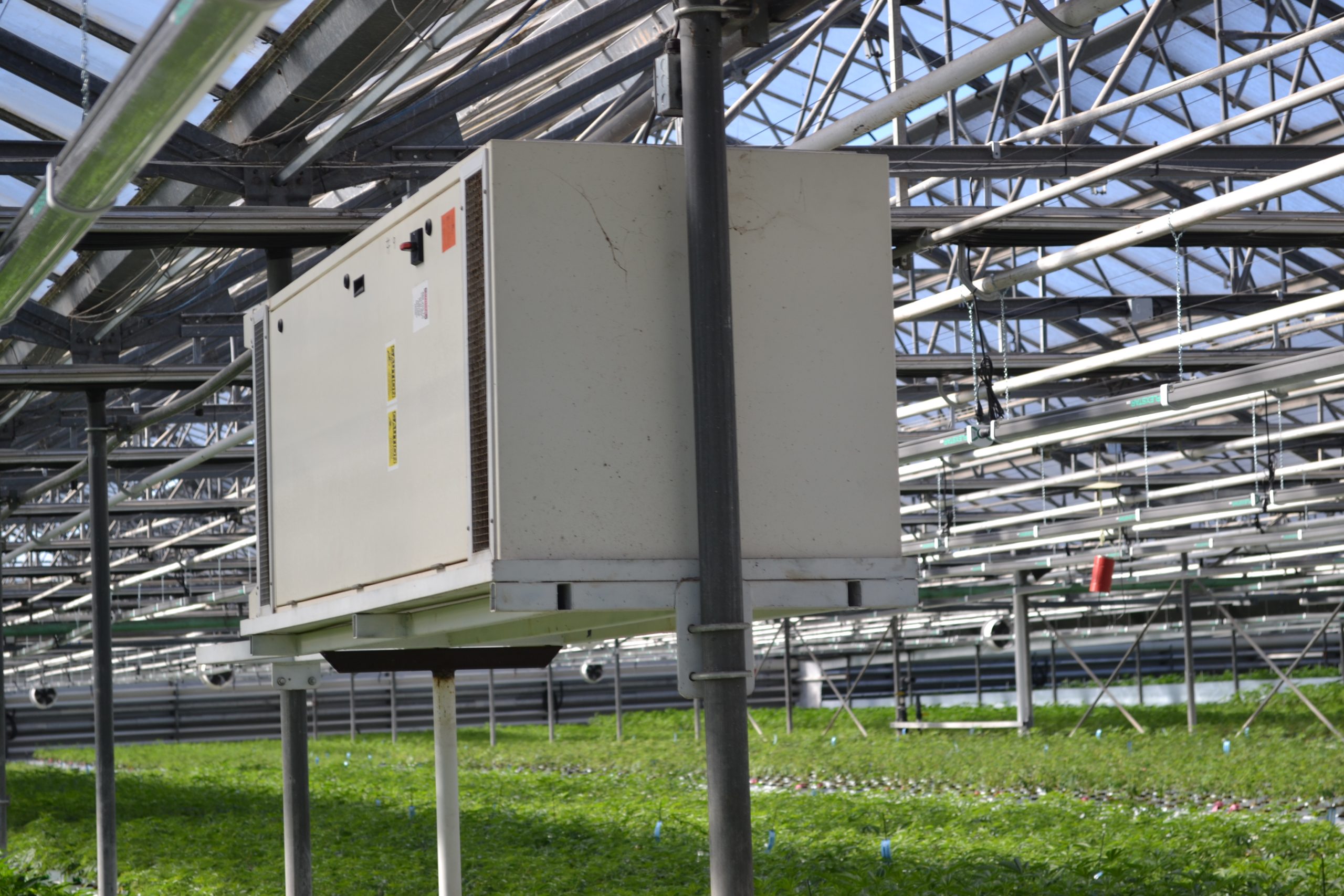 Carpinteria Cannabis Farms Have Had Enough Time to Deal with the Odor, County Supervisors Say