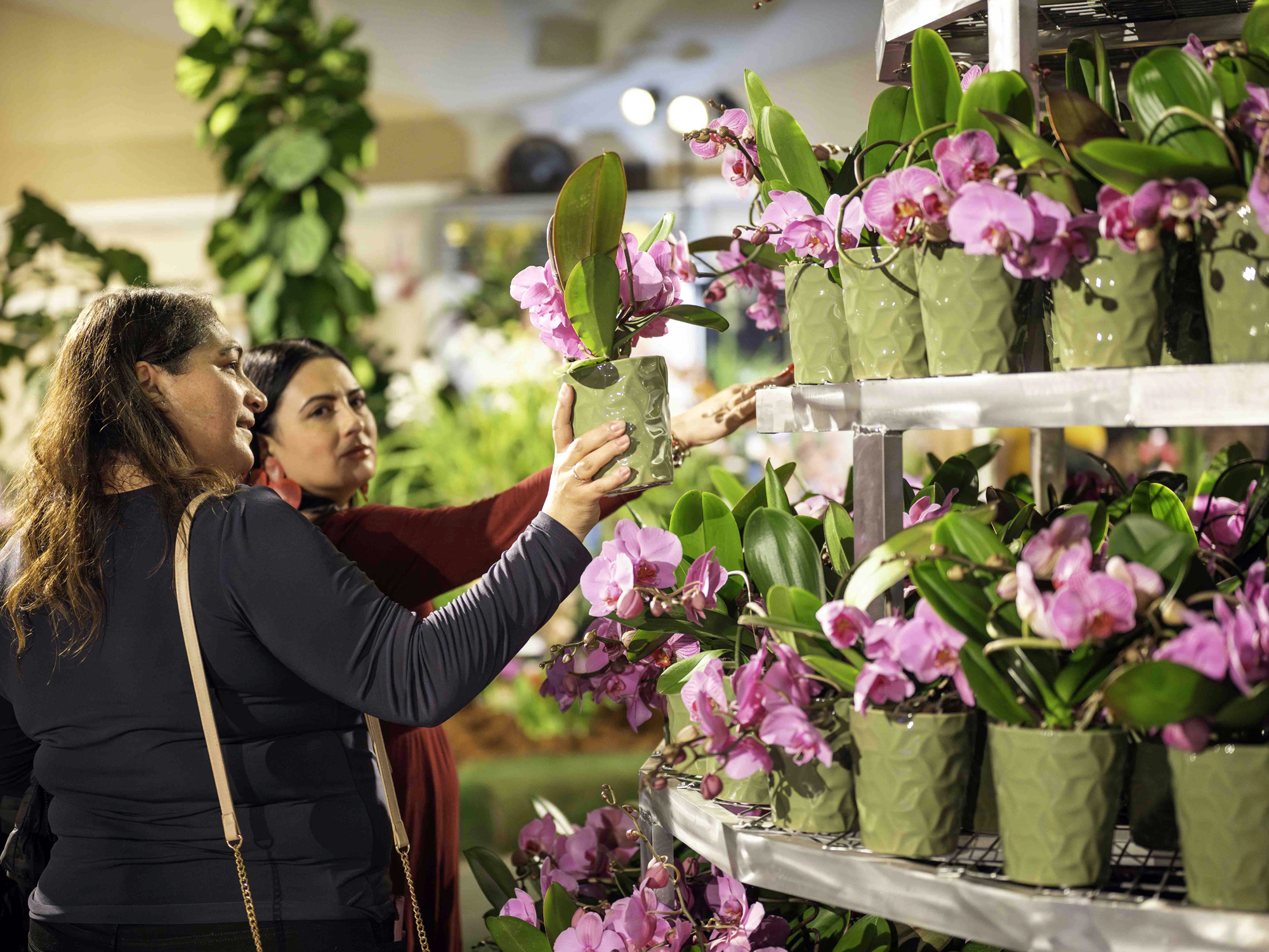 A Lifelong Love Affair for Santa Barbara 'Orchid Queen' Lauris