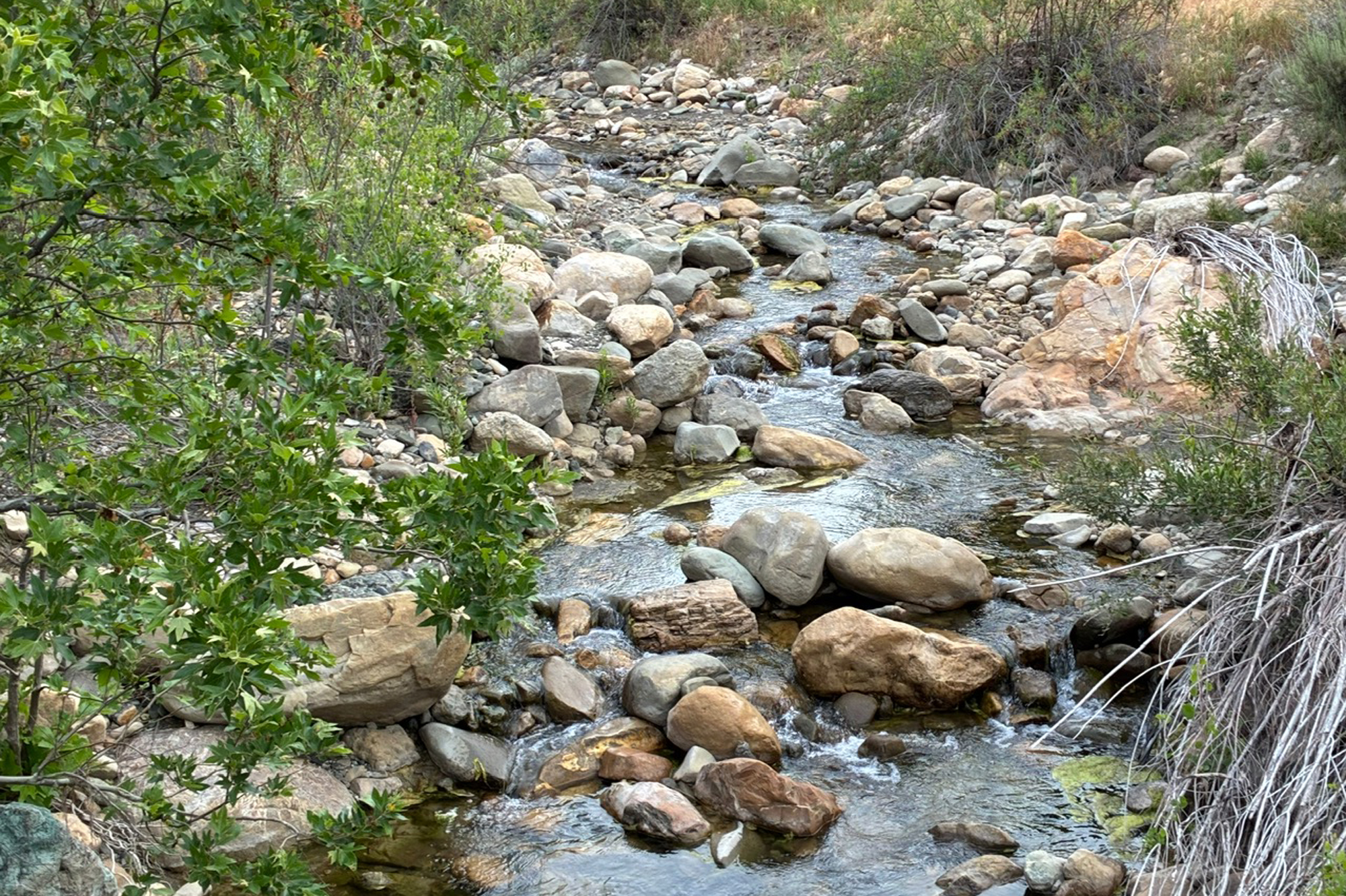 Dan McCaslin: Testing the Waters at ‘First Crossing’ to Upper Oso Campground