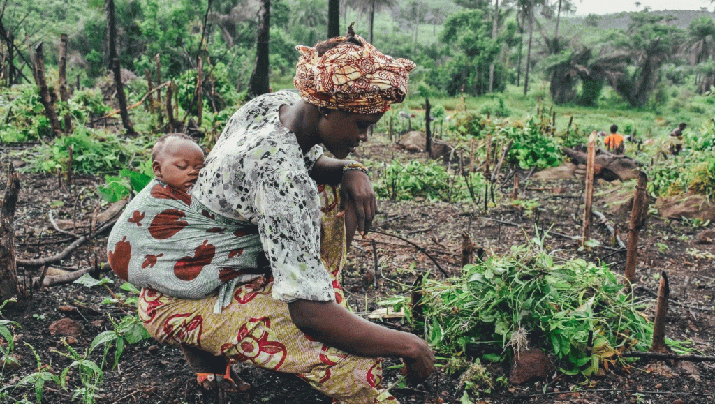 New Rainfall Dataset Enhances Global Weather Monitoring
