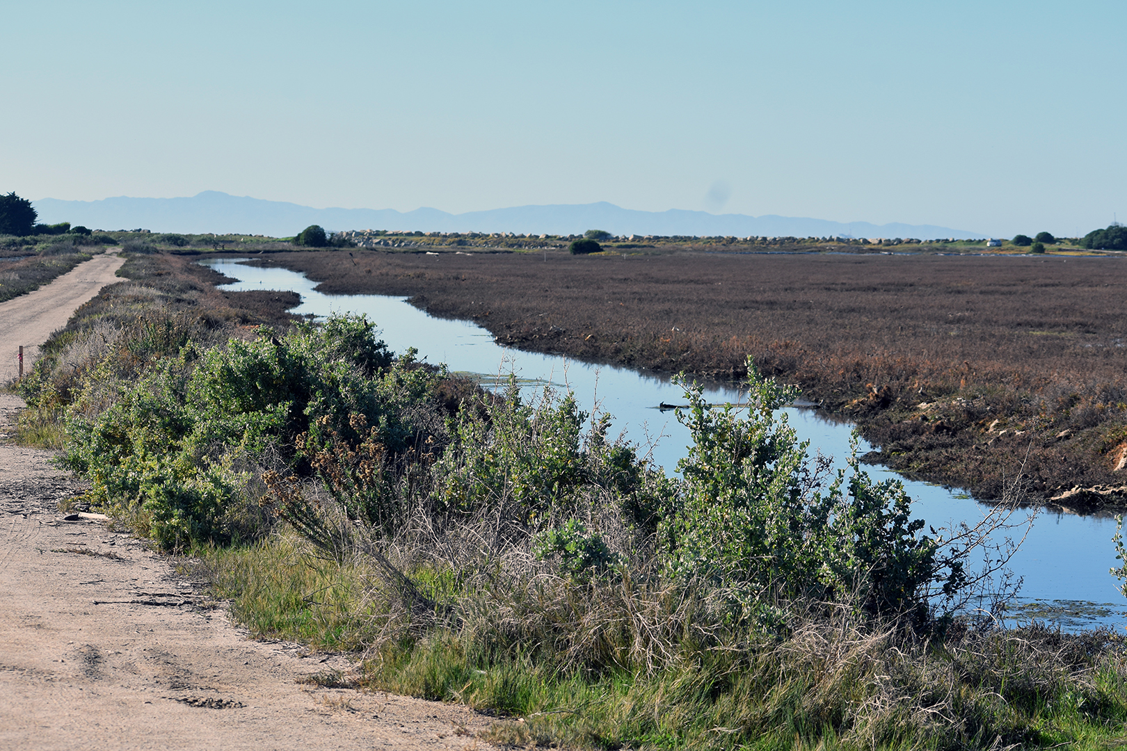 5-Year Carpinteria Salt Marsh Flood Control Plan Approved