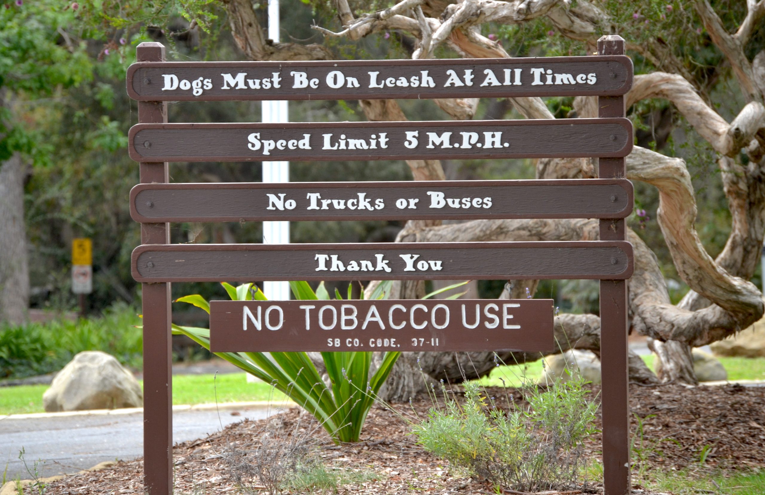 Residents Push for Off-Leash Dog Park in Montecito