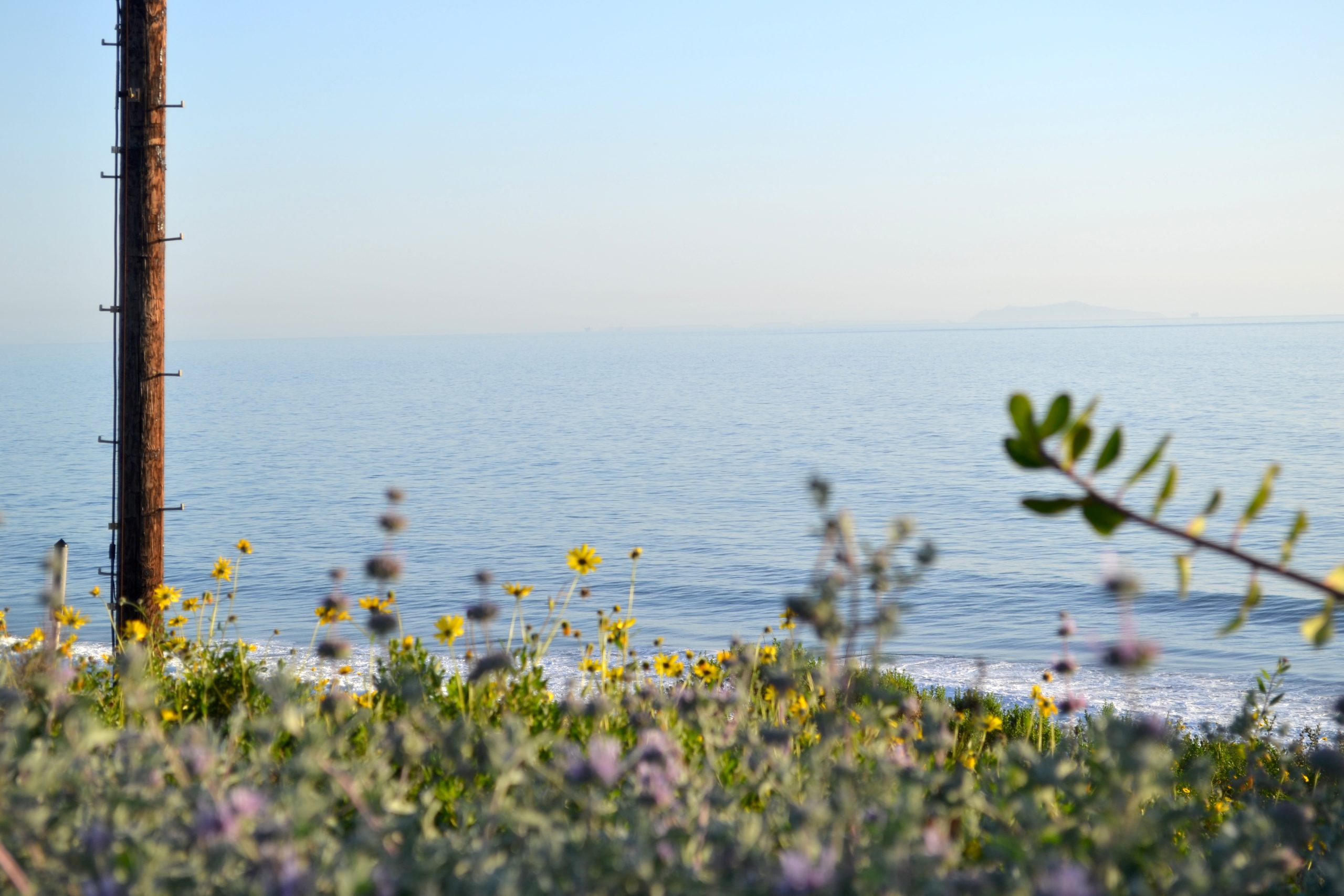 State Panel OKs Closing Parts of Ocean Off Santa Barbara County to Boat Fishing